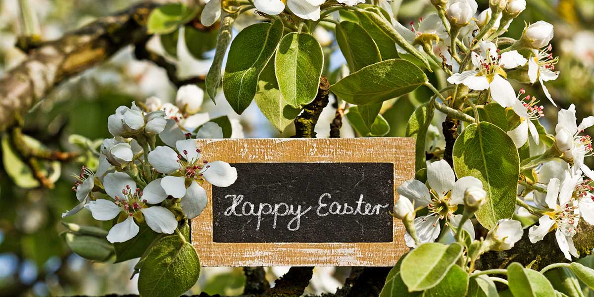 Buona Pasqua da Italiafruit News!